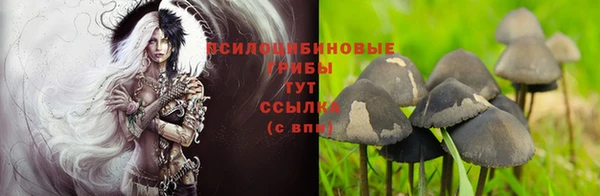 дмт Гусь-Хрустальный