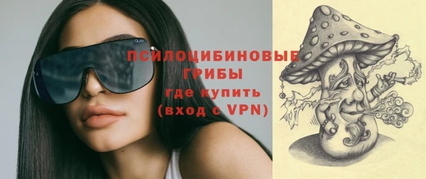 таблы Дмитриев