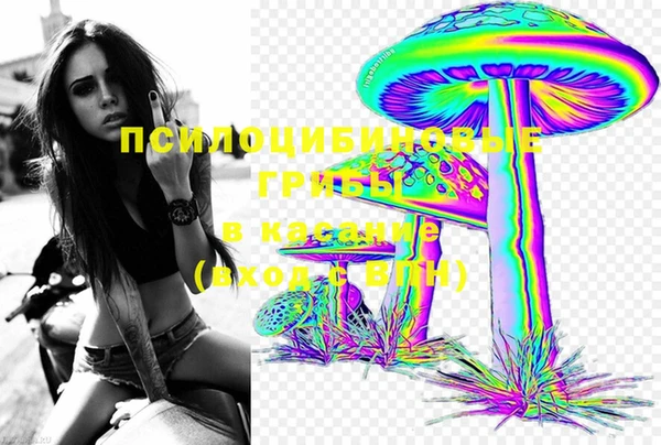 таблы Дмитриев